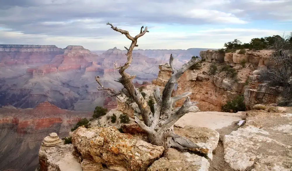 Yaki Point