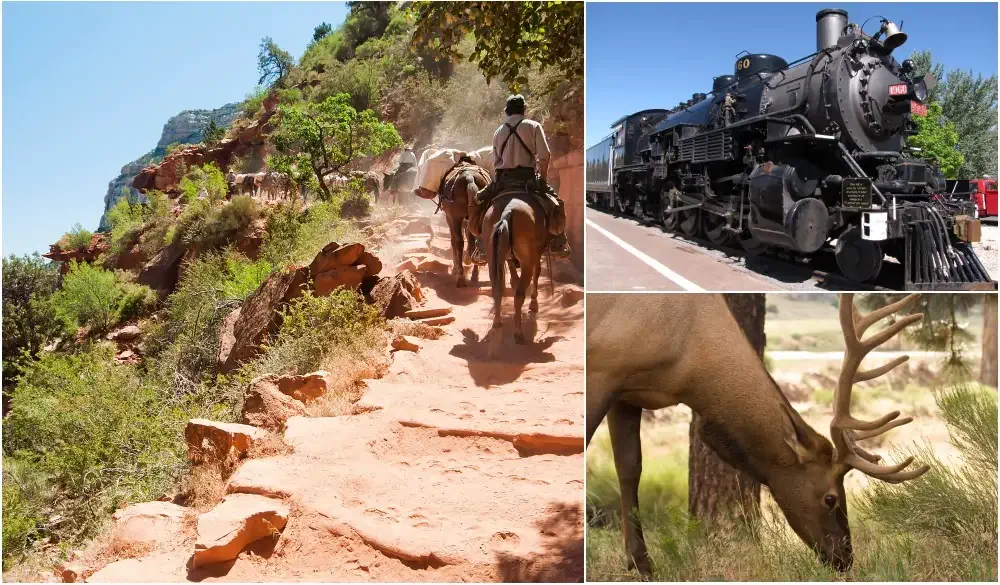 things to do in Grand Canyon