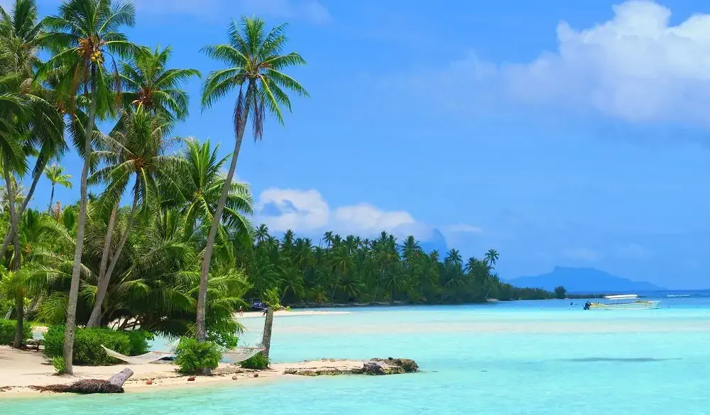 Tahaa