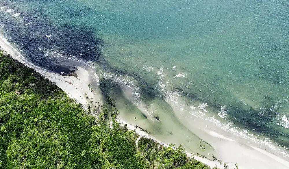 Daintree Rainforest Daintree National Park Aerial