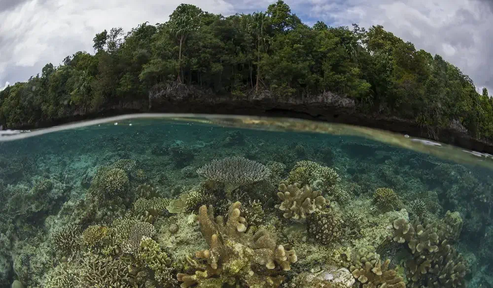Derawan, visit indonesia