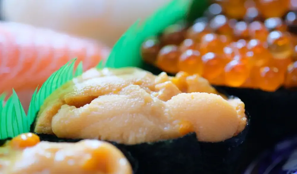 Close up of Sushi, Uni(sea urchin)
