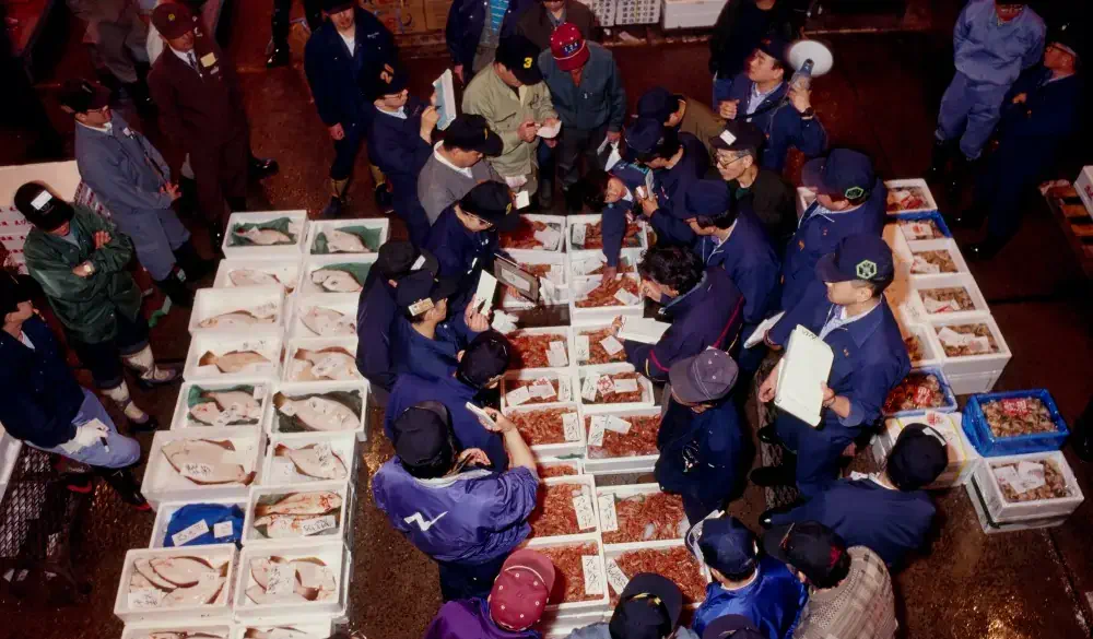 Fish market, Sapporo, Hokkaido, Japan
