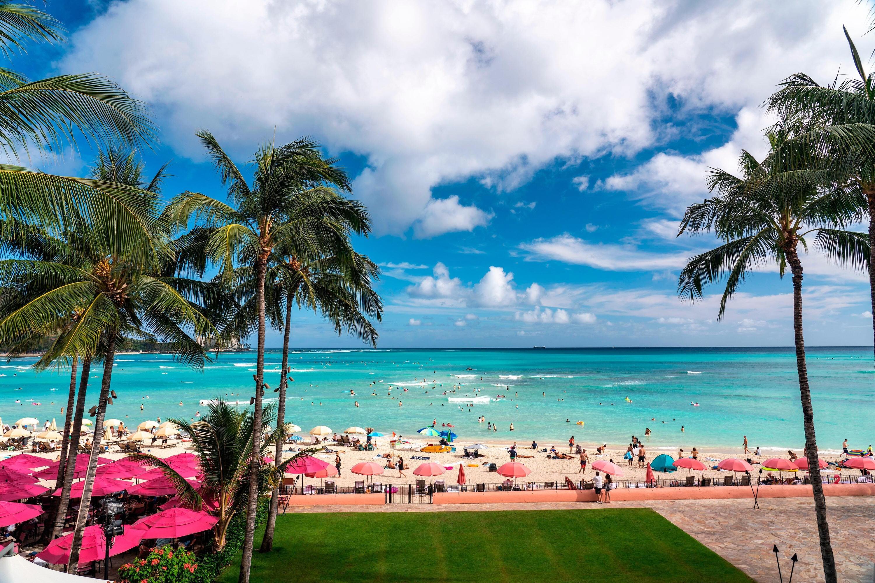 品質満点 a Hawaiian, Royal The Luxury Waikiki Resort, Collection 掃除機・クリーナー