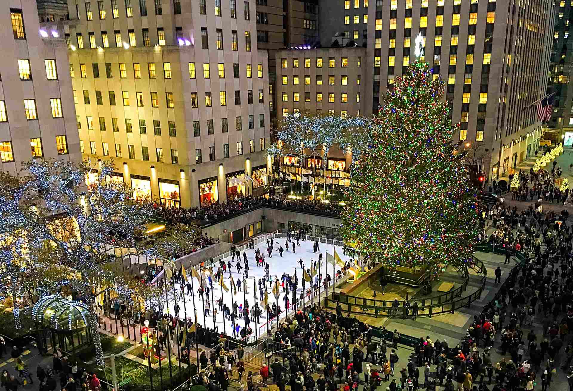 magnificent tree in Rockefeller Center.