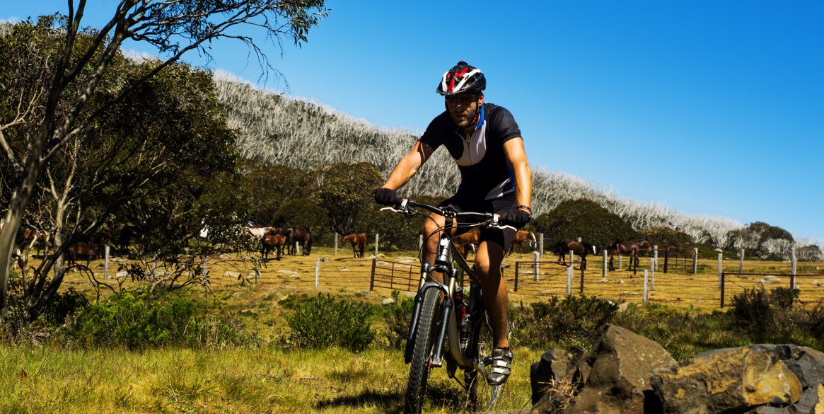 Mountain Biker in Australian Alps