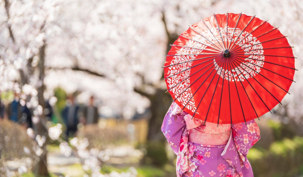 KYOTO, JAPAN - 2019/04/09: Young girls, dressed in Kimono with red umbrella standing with cherry blossom background.