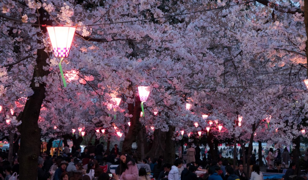 Photo Taken In Nagoya-Shi, Japan