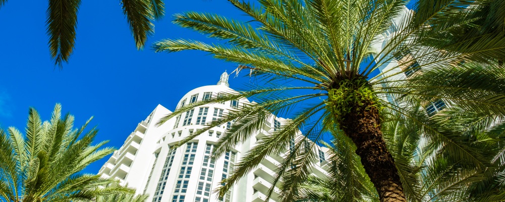 Cityscape view of beautiful Miami Beach with palm trees and art deco architecture.; Shutterstock ID 566746948