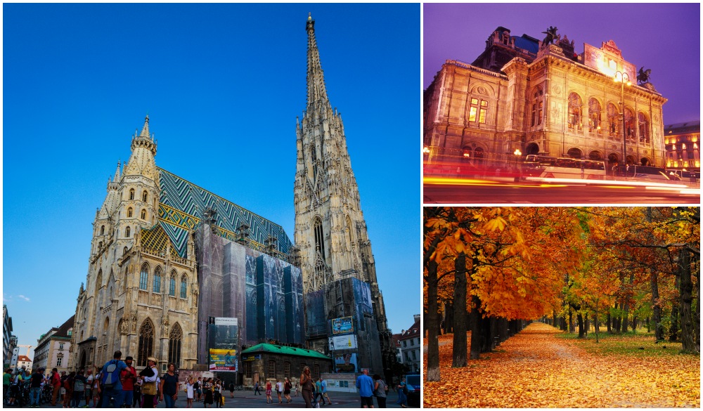 Explore Vienna’s Beauty