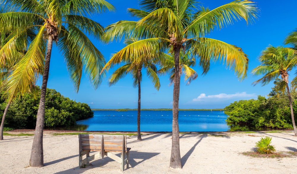 Coconut palms on Sunny beach and Caribbean sea in Key, Largo, Florida.