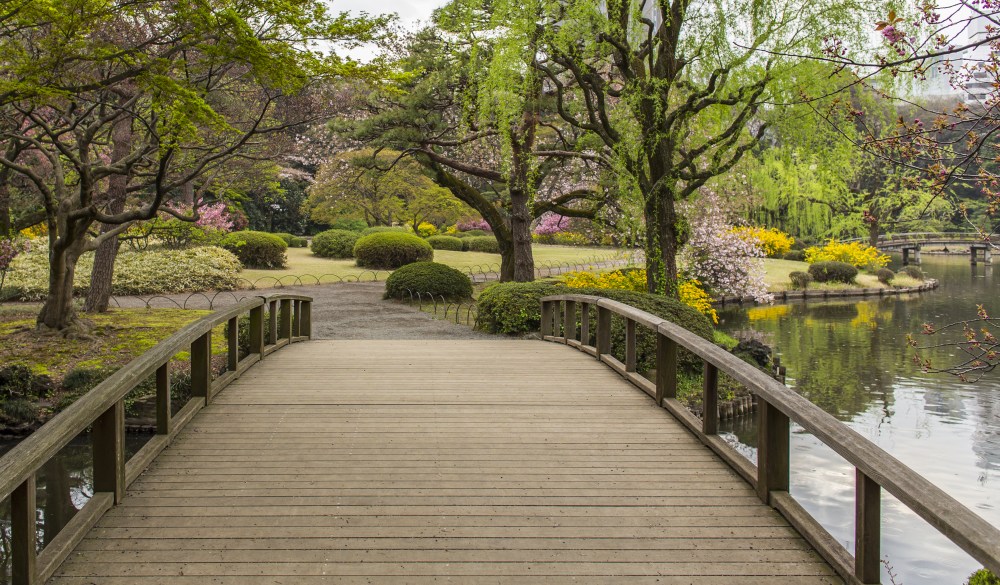 Shinjuku Gyoen, Tokyo, Japan; Shutterstock ID 289337594