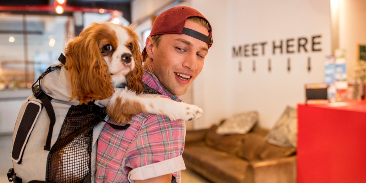 Happy young man in a hostel carrying dog in backpack