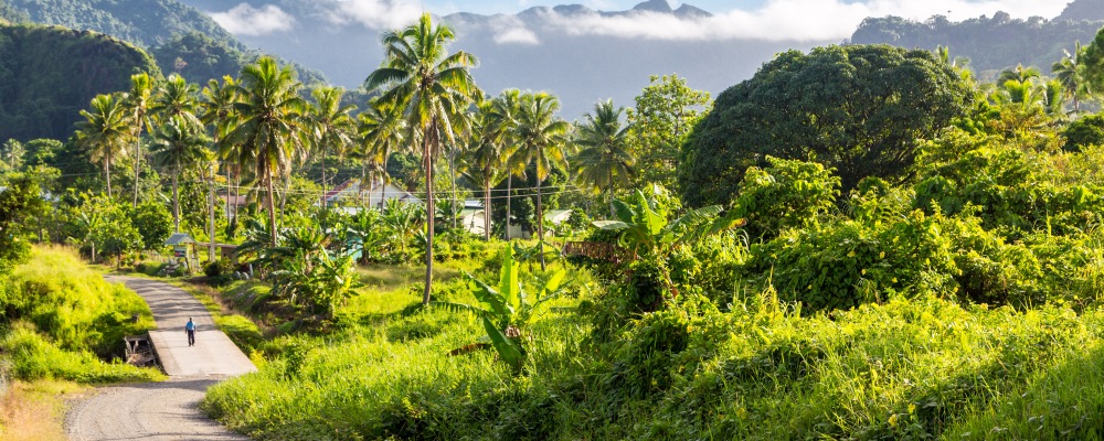 Volcanic hills, mountains, valleys, volcano mouth of beautiful green lush Ovalau island overgrown with palms, lost in jungle, covered with clouds, home of Levuka town. Fiji, Melanesia, Oceania. ; Shutterstock ID 1256221183