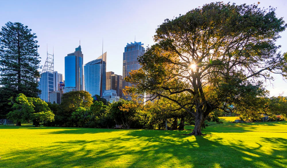 Skyline of Sydney with city central business district