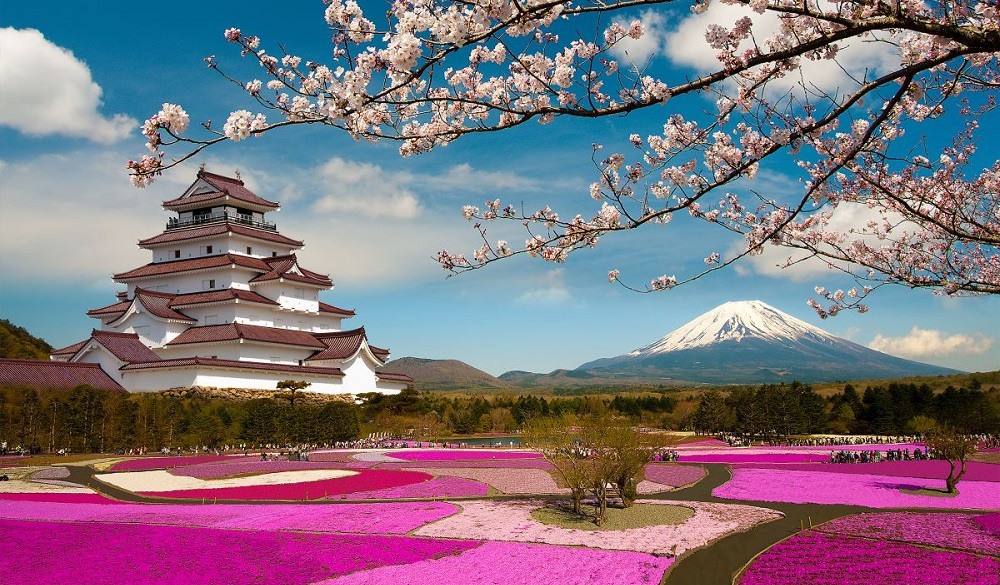 Japan Sakura Season with temple during Japan's Golden Week