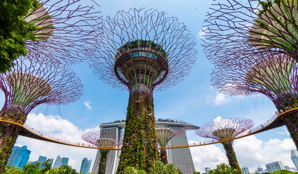 Supertree Grove, gardens by the bay
