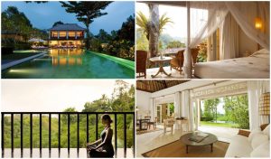 ubud hotelscombined