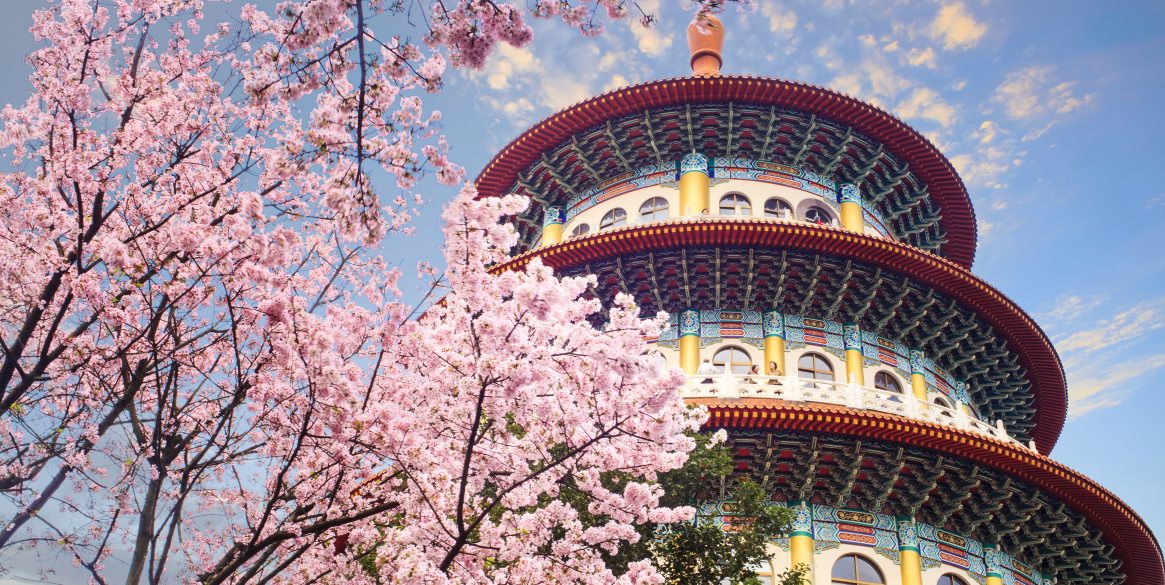 sakura garden with nice sky in Taipei, Taiwan