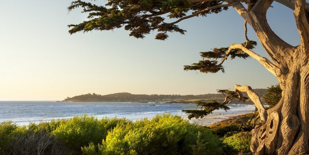 13 Best CarmelbytheSea Bed and Breakfasts 13 Best
