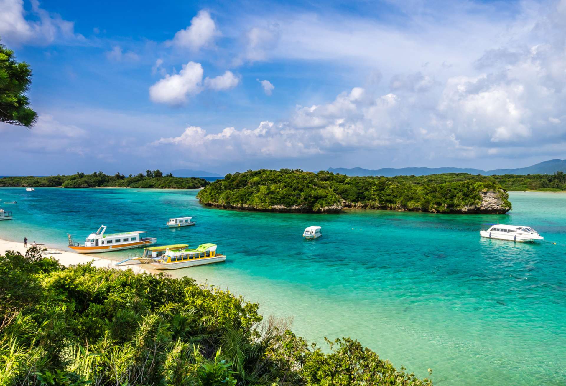 tours in okinawa japan