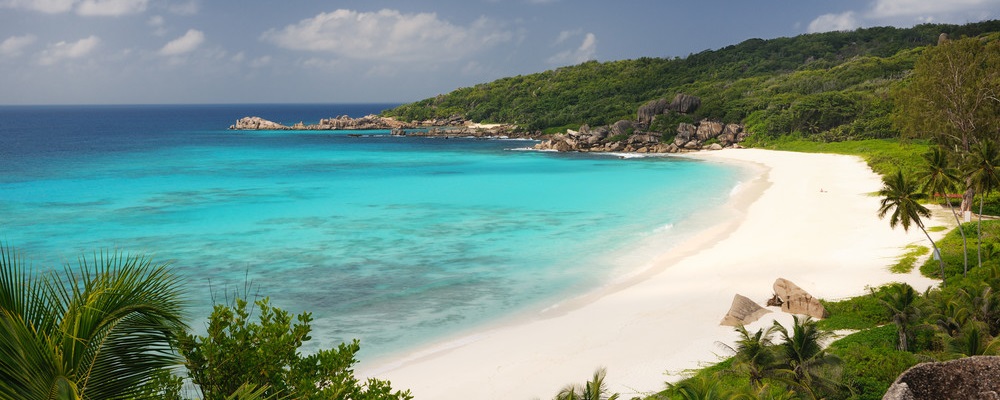 Rare shot and unique perspective of the famous Grand Anse, Seychelles. Lots of naturally grown palm trees! Probably the most idyllic beach in the world! Nikon D3X.