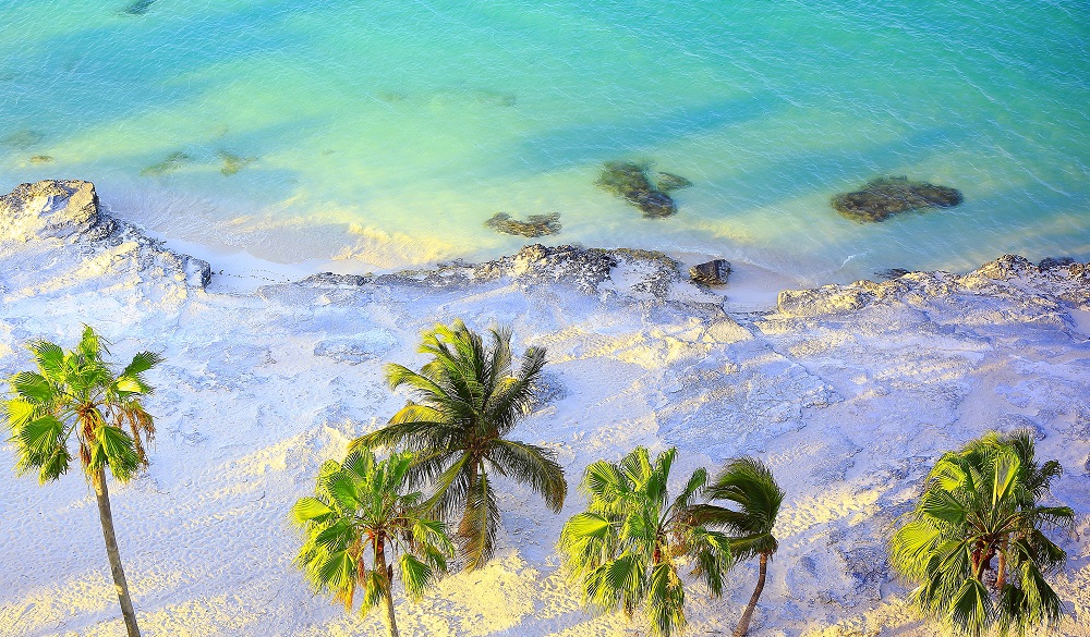 Tropical paradise sunset: Aerial Sunny Sandy caribbean palm trees beach