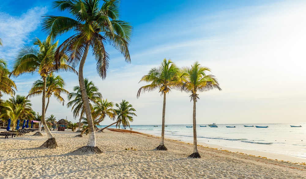 Paradise Beach also called Playa Paraiso at sunrise - beautiful and tropical caribbean coast of Tulum in Quintana Roo, Riviera Maya, Mexico - tropical travel destination for vacation