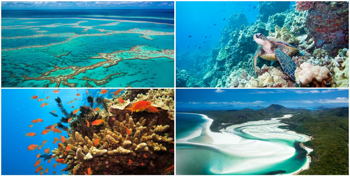 Great Barrier Reef resorts