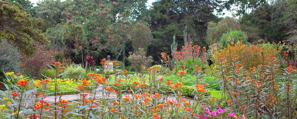 Bogota's botanical garden, bogota's top attractions