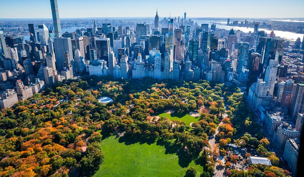 Central Park Skyline