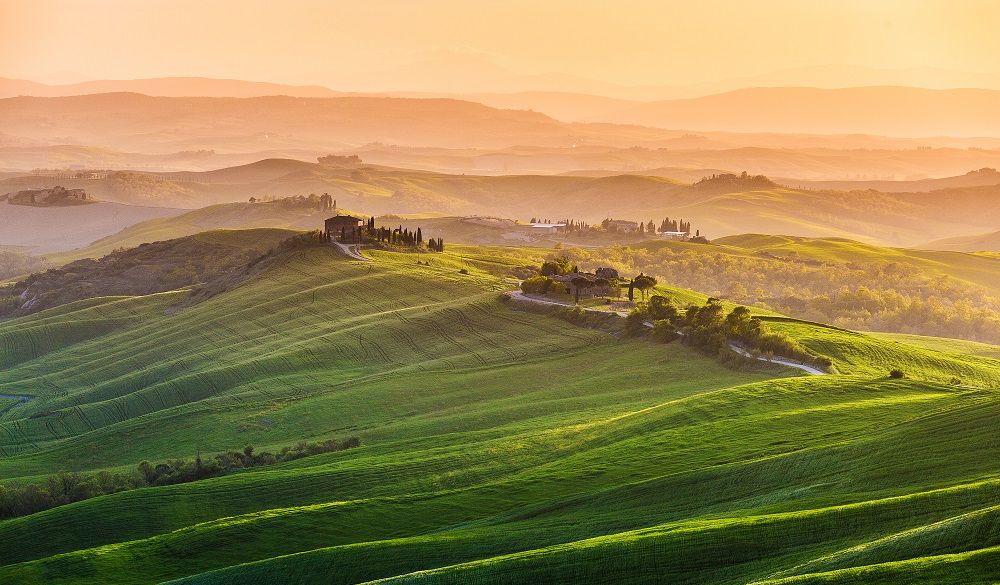 Green countryside in Cinigiano