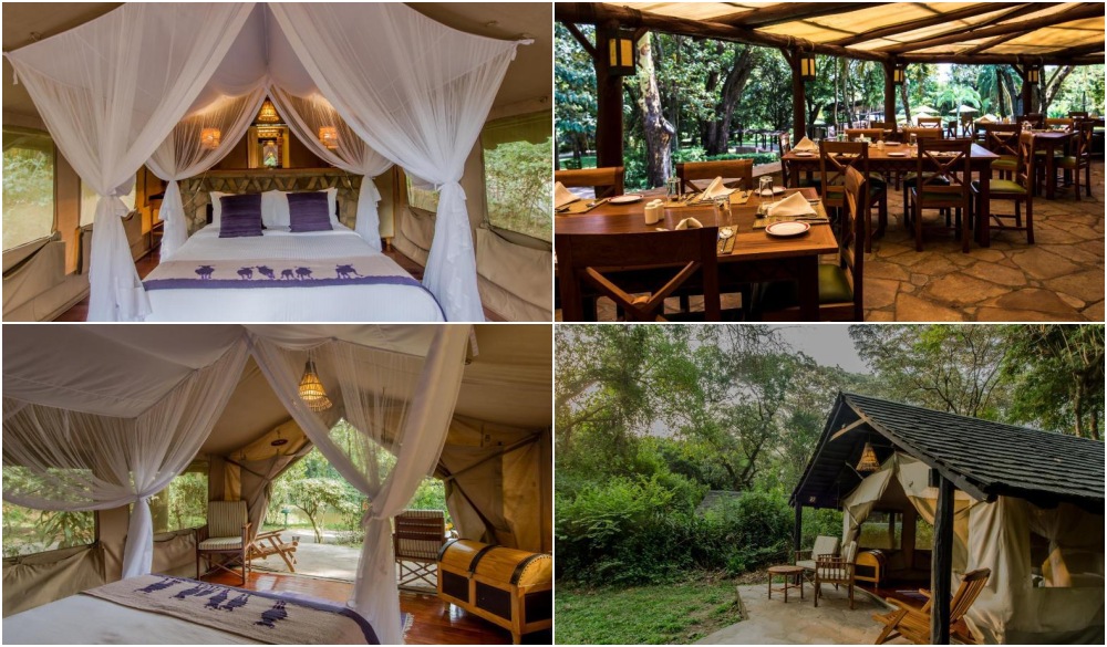 Sarova Mara Game Camp