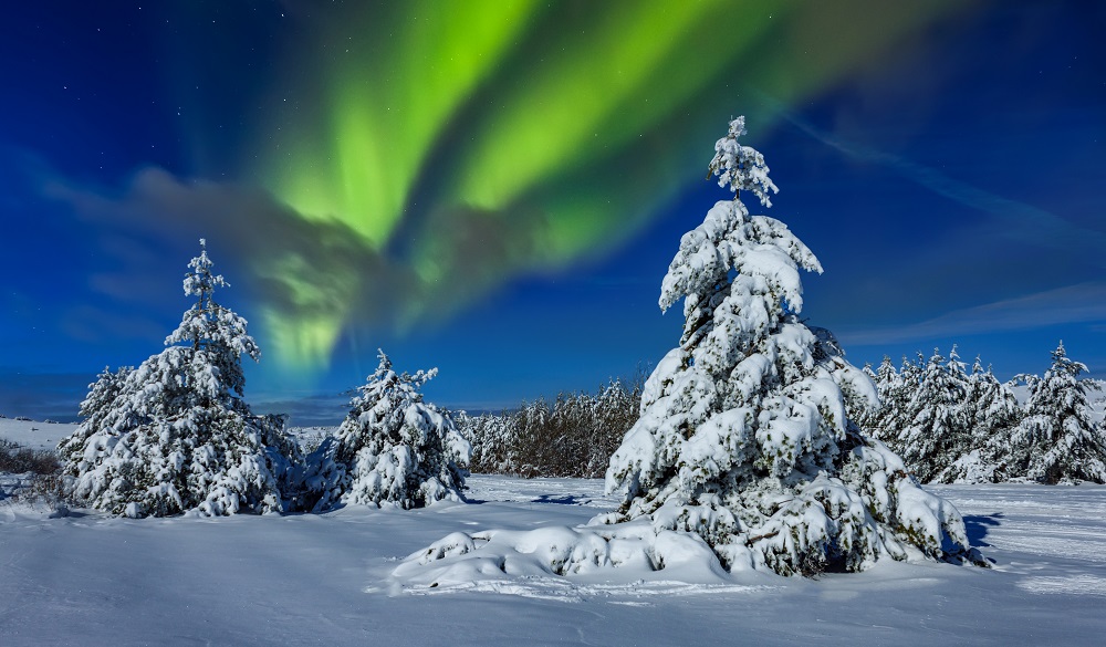 Beautiful winter landscape in Sweden