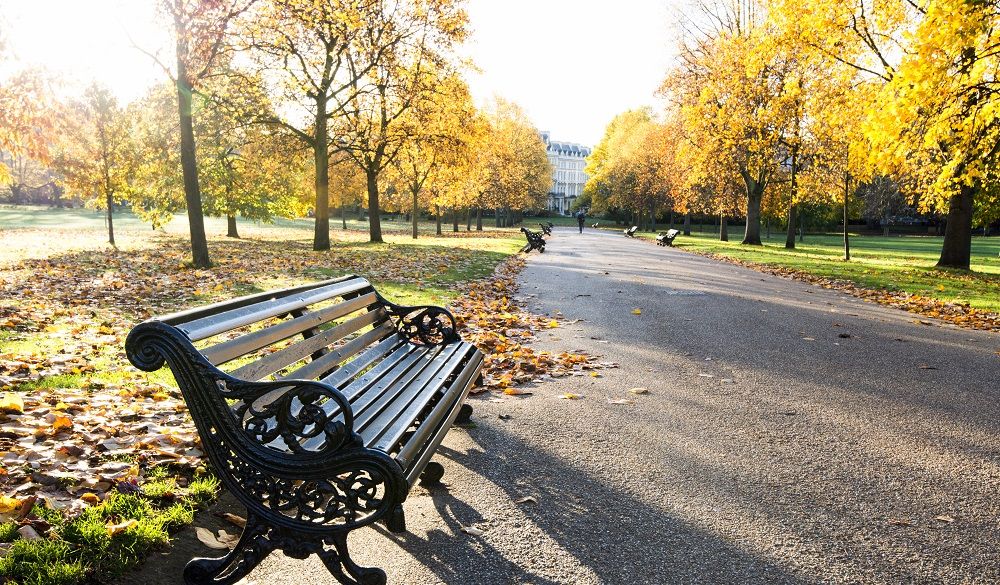 The Montcalm Marble Arch