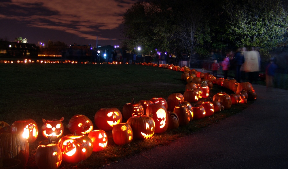 Halloween pumpkins for the Halloween parade