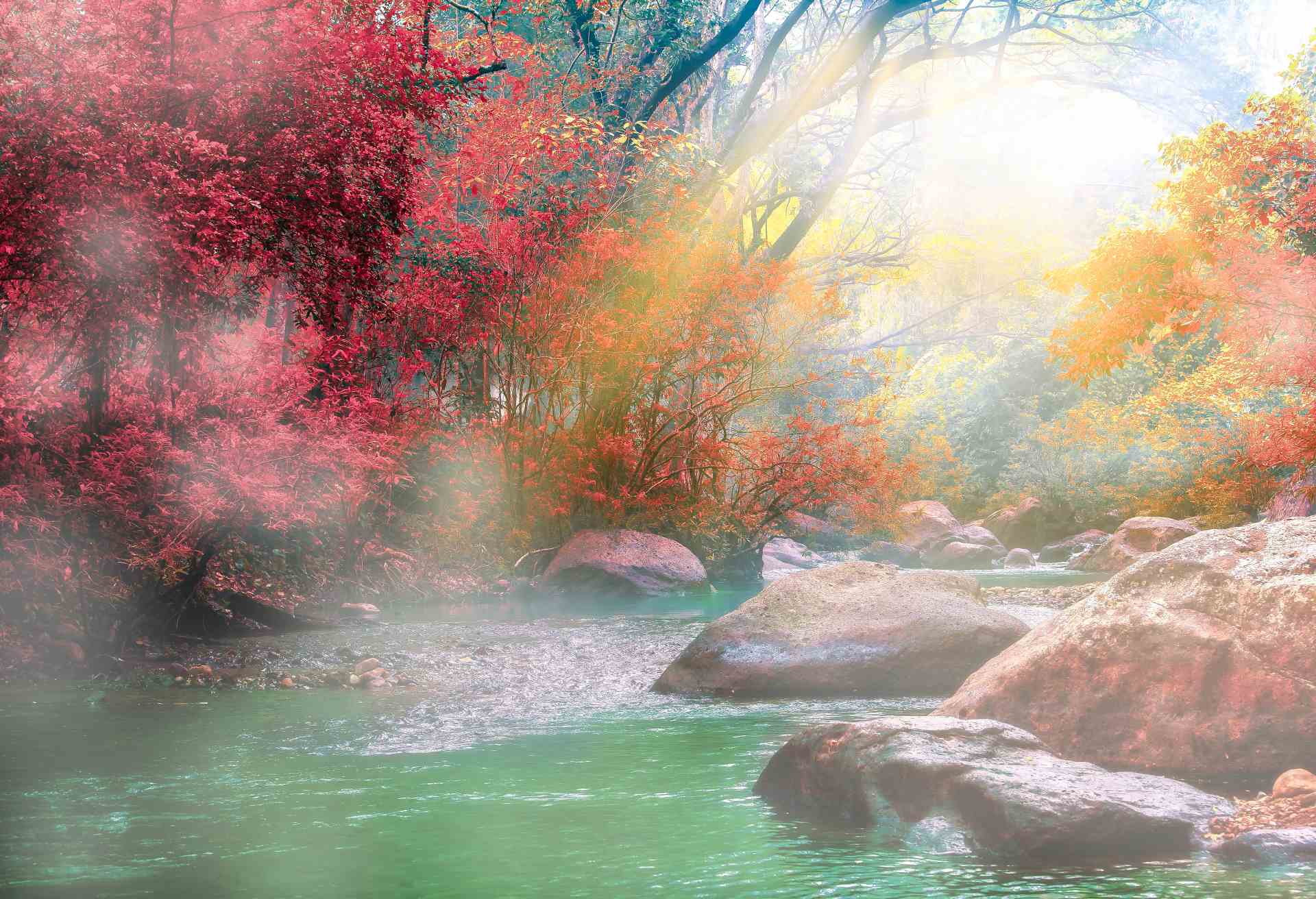 Hot Springs Onsen Natural Bath Surrounded by red-yellow leaves. In fall leaves fall .Waterfall among many foliage, In the fall leaves Leaf color change.