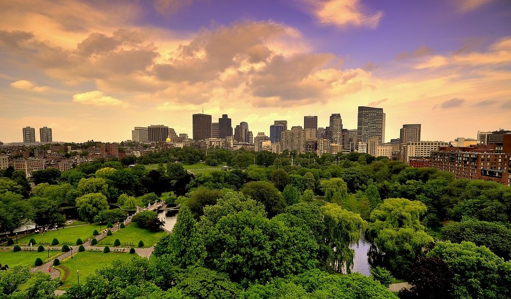 Boston Public Garden