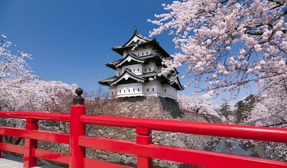 Fuji and Chureito pagoda with cherry blossoms