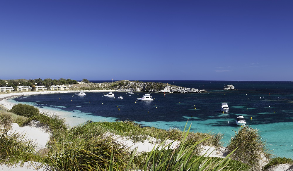 Summer scene at longreach bay rottnest