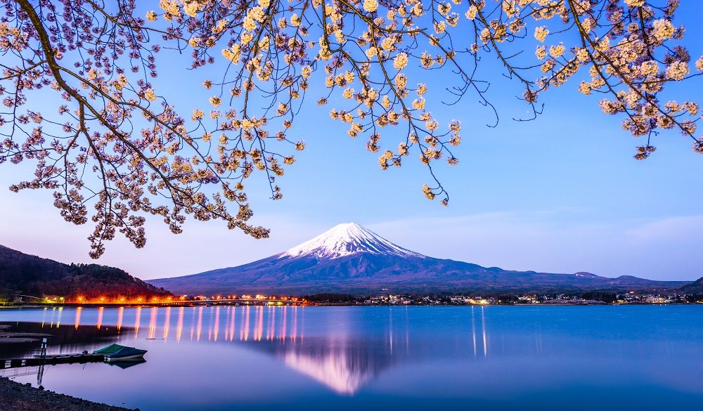 Mt. Fuji Spring