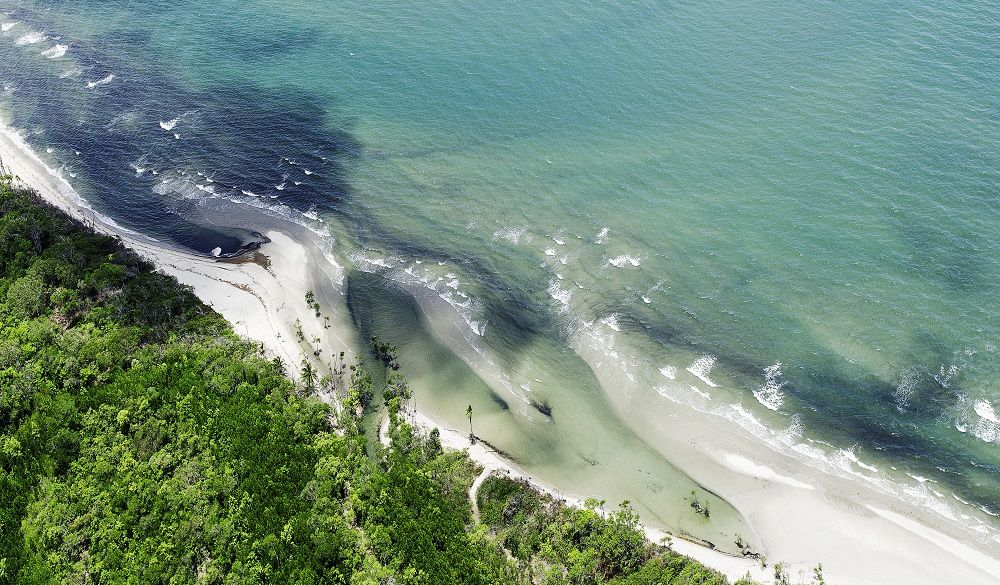 Daintree Rainforest Daintree National Park Aerial