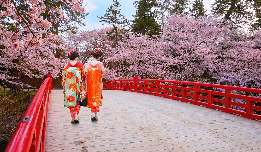 Where To Stay During Cherry Blossom Season In Japan - HotelsCombined Where To Stay During Cherry Blossom Season In Japan
