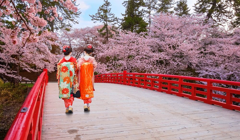 Mt. Fuji Spring with cherry blossom