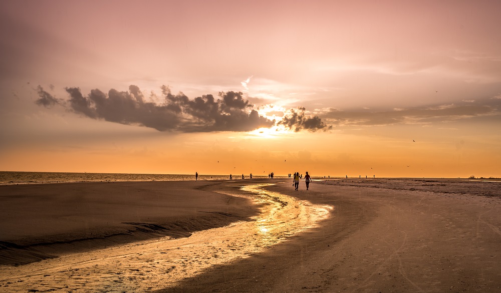 Sunset Landscape on the Beach Walking