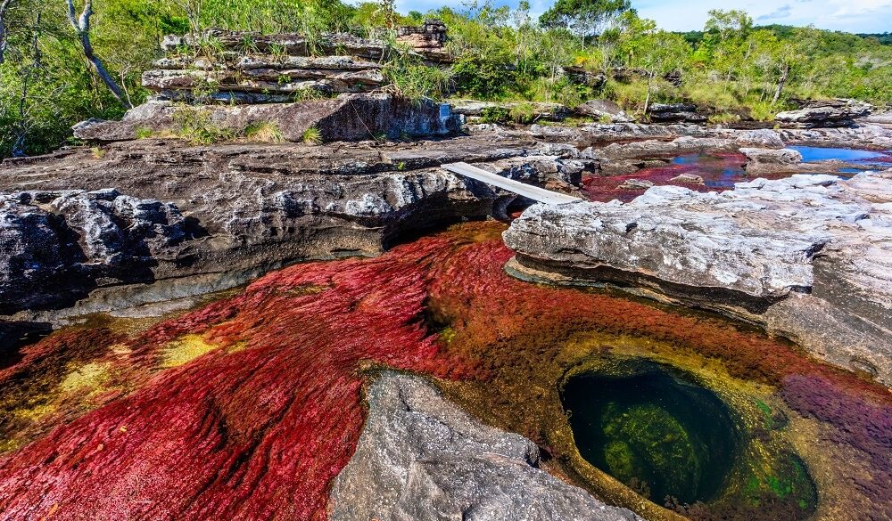 Caño Cristales