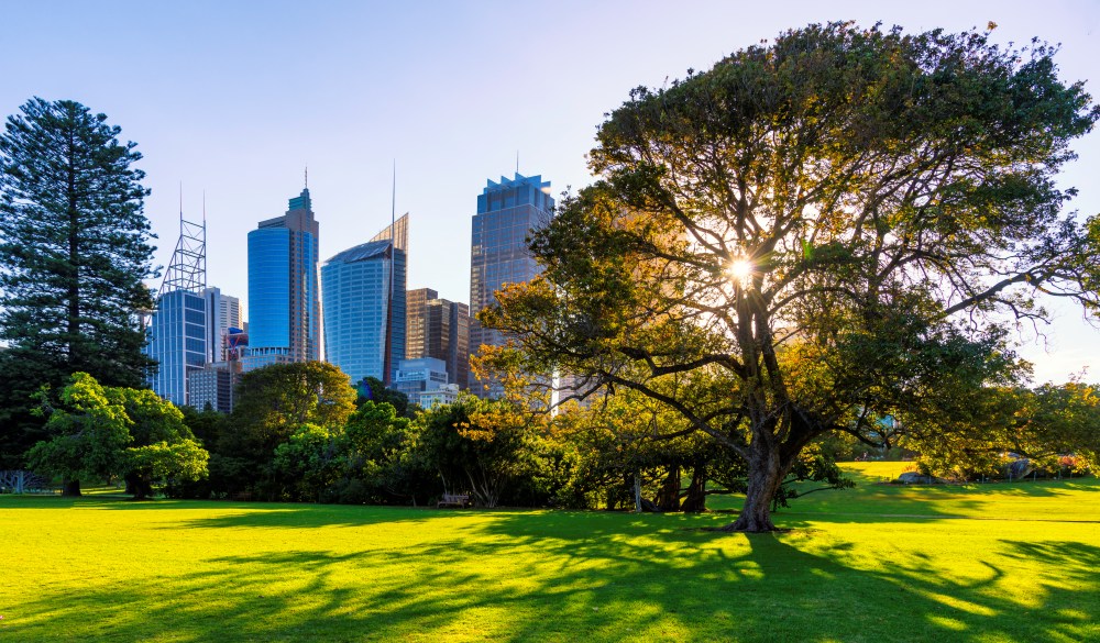 Skyline of Sydney with city central business district