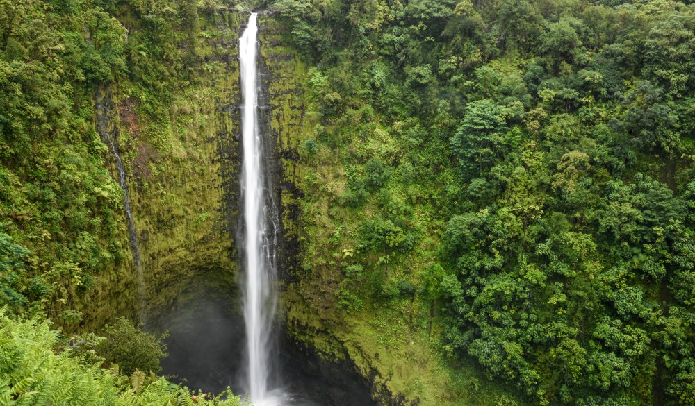 Scenic View Of Waterfall, Hawaii islands to visit