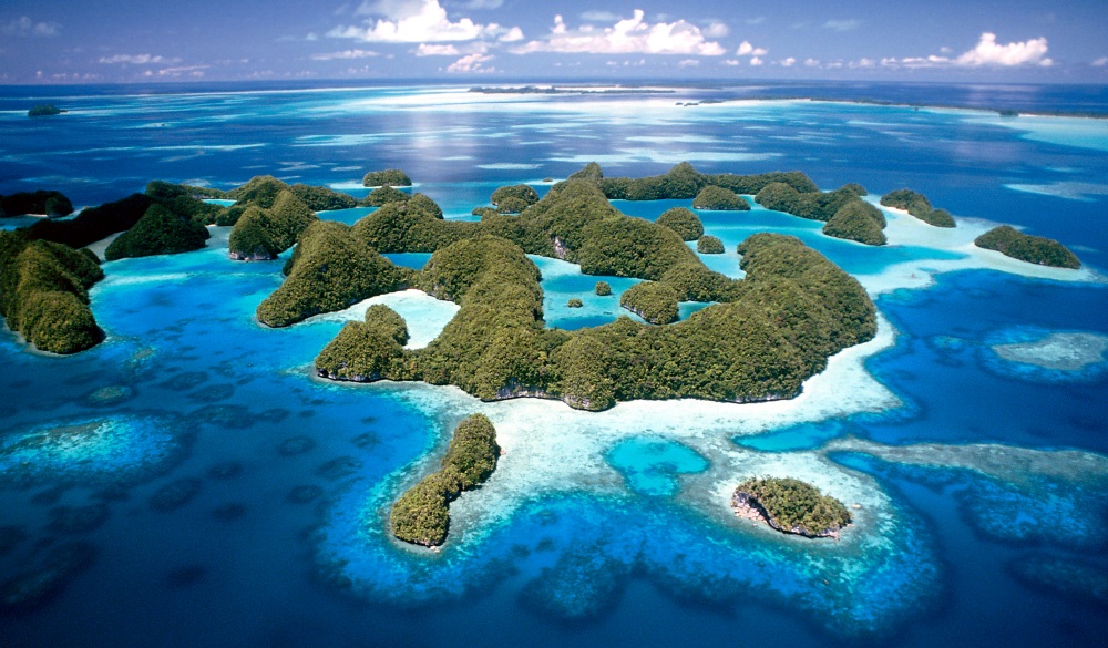 Jellyfish Lake in Palau.