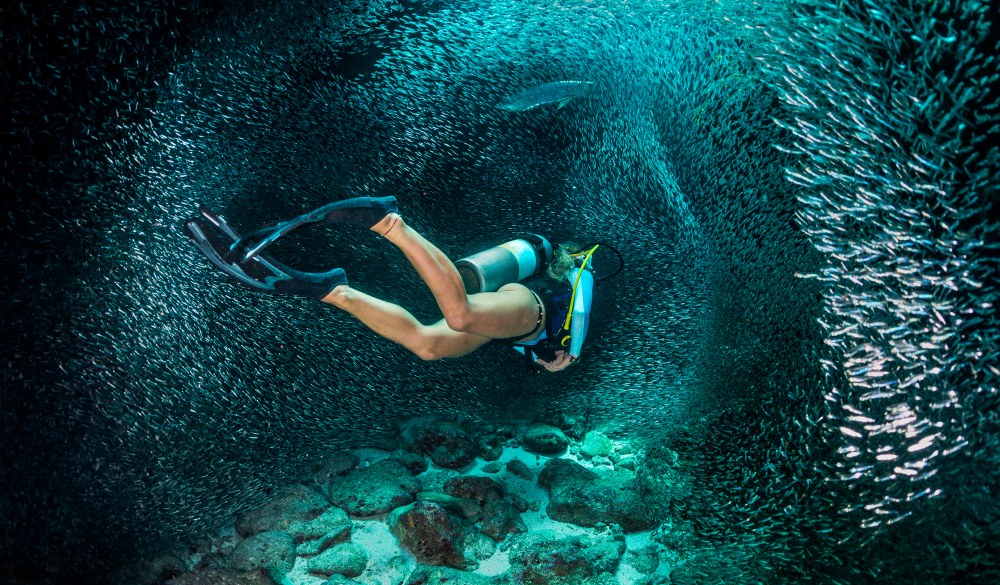 Female scuba diver swimming with the school of fishes.